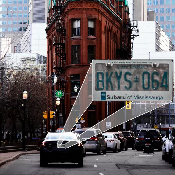Licence Plate Surveys image