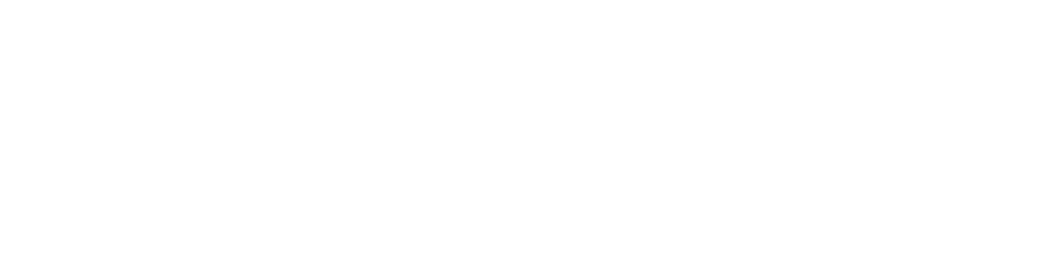 Partner logo image