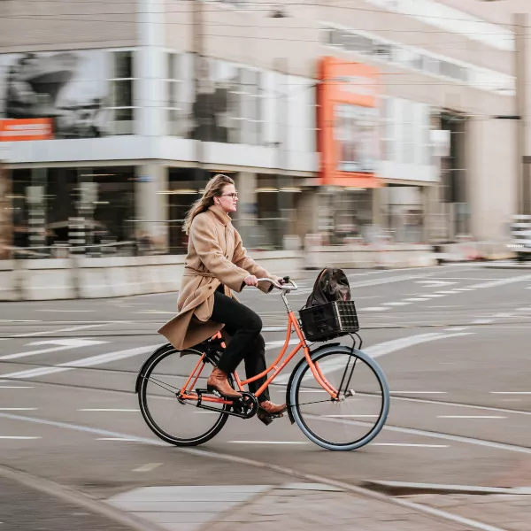 Bicycle Counts image